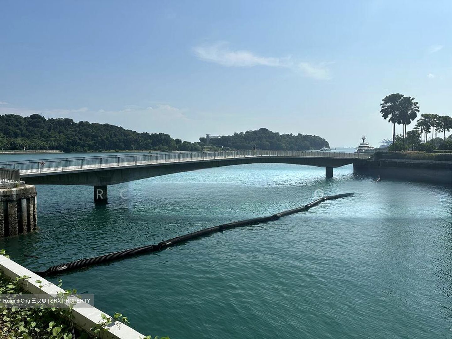 The Reef At King’s Dock (D4), Condominium #508497231
